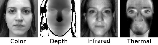 bf_preprocessed.jpg
