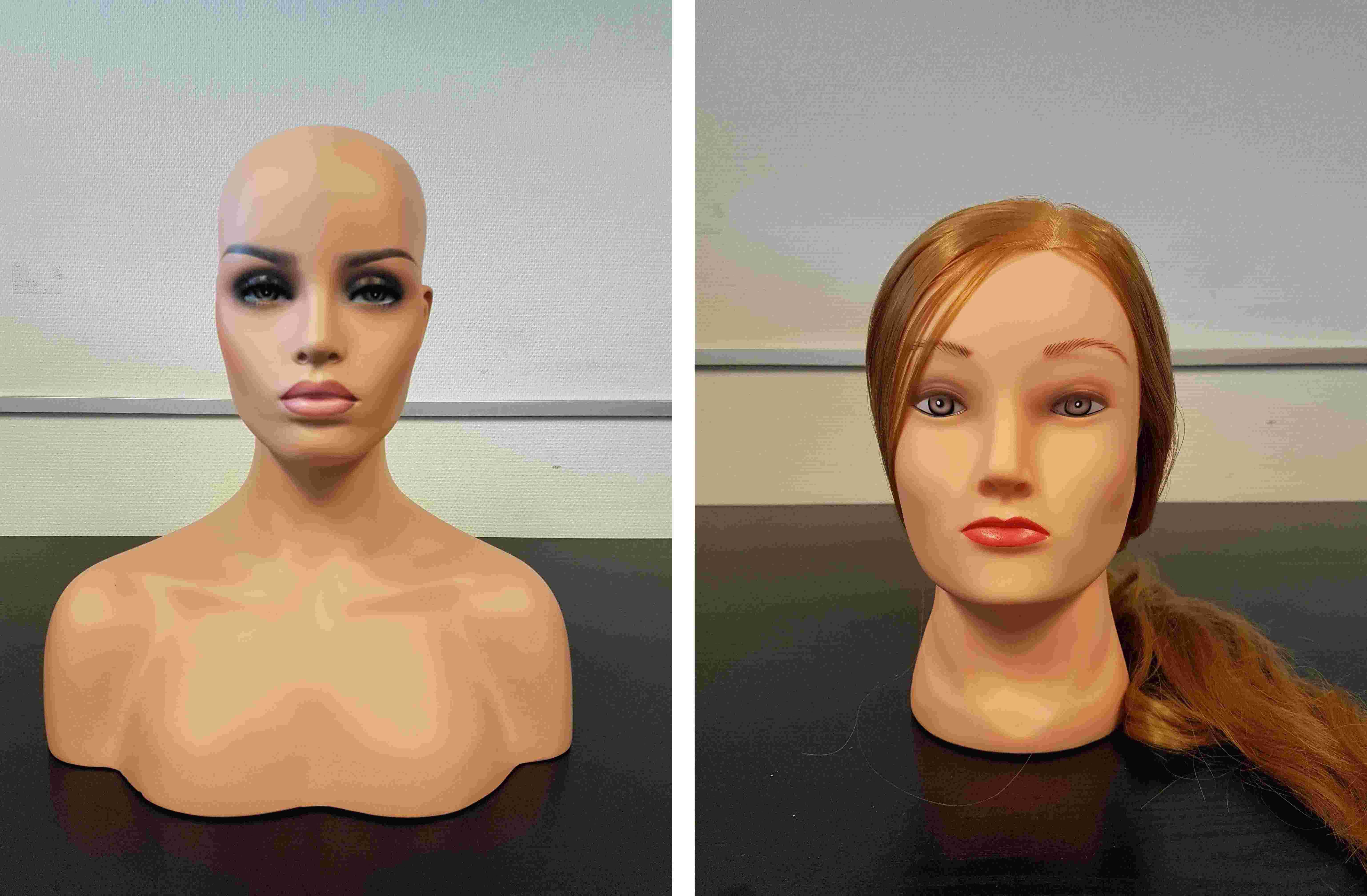 fake_head.jpg